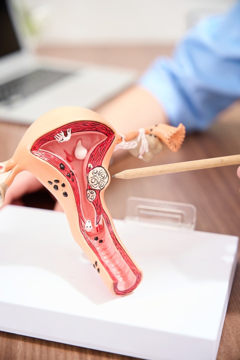 Conoce a los especialistas en Ginecólogo, Obstetra y Especialista en Medicina Materno Fetal en Xoco, CDMX expertos en salud femenina