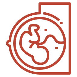 Interpretación clara en cada estudio