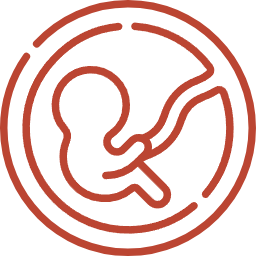 Seguimiento real, no solo consultas aisladas